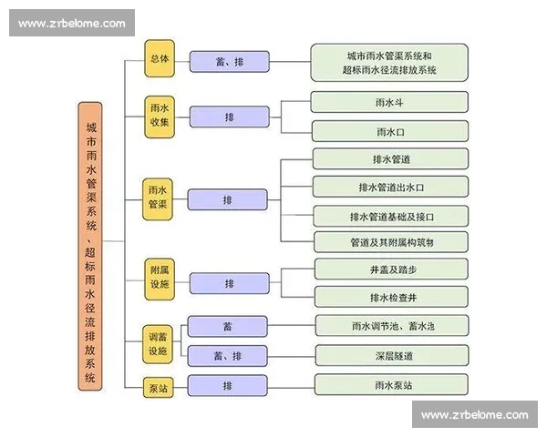 规范运作视角下提升组织管理效率与运行质量研究